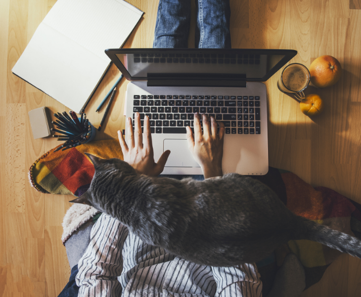 tips for working from home with laptop and pet cat top view