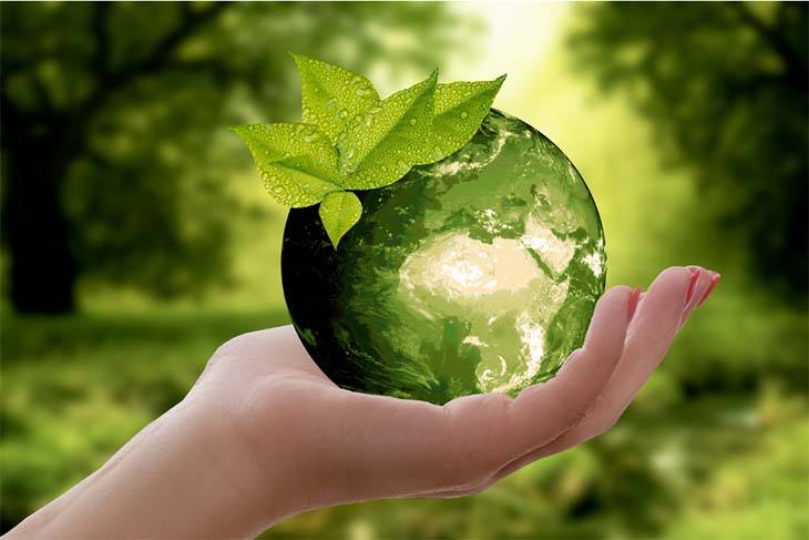 Woman's Hand Holding A Green Planet Environmental Sustainability New Future Opti Office Paper Usage