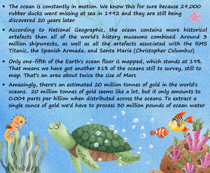 12 fun facts about our oceans