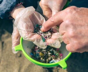 People looking at microplastics