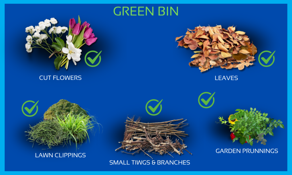 Things that can go in a Green Bin