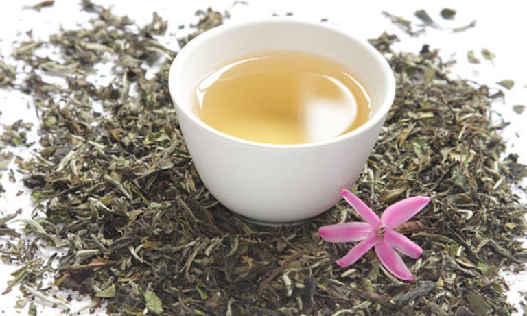 White tea in a cup with herbals around