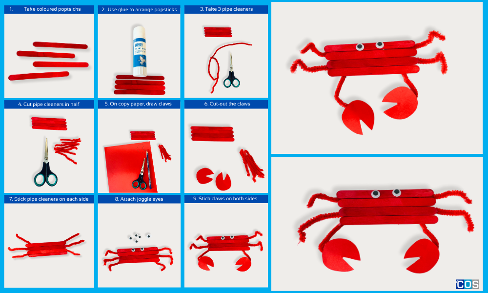 Posptick & pipe cleaner crab