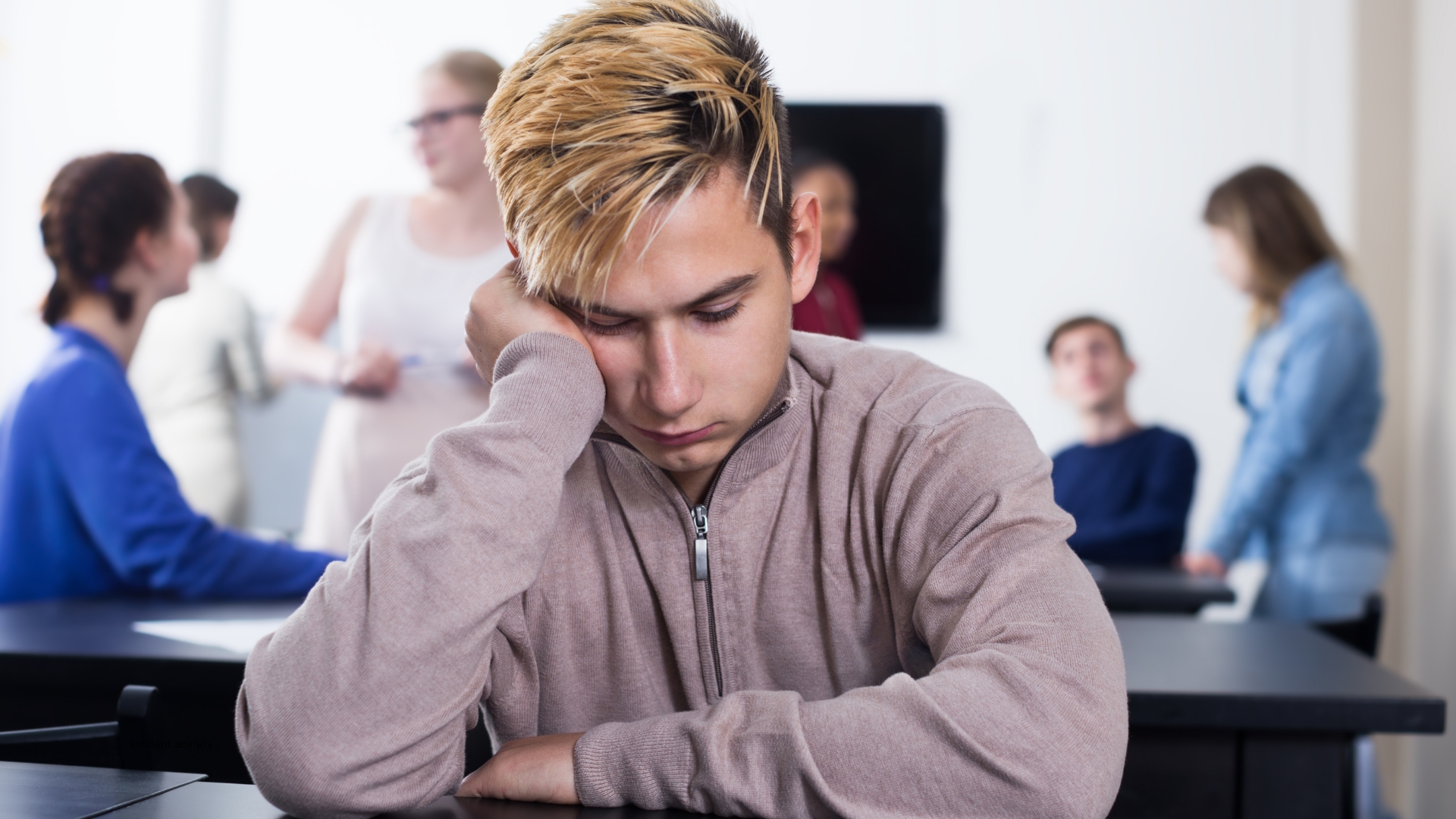 Student Anxiety