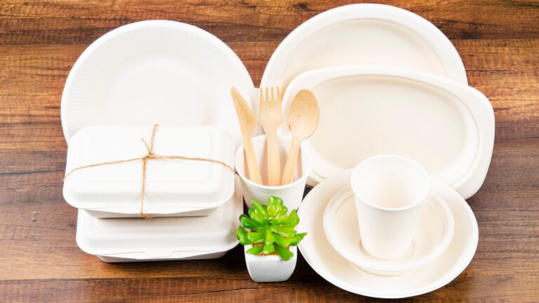 Plastic Alternatives
