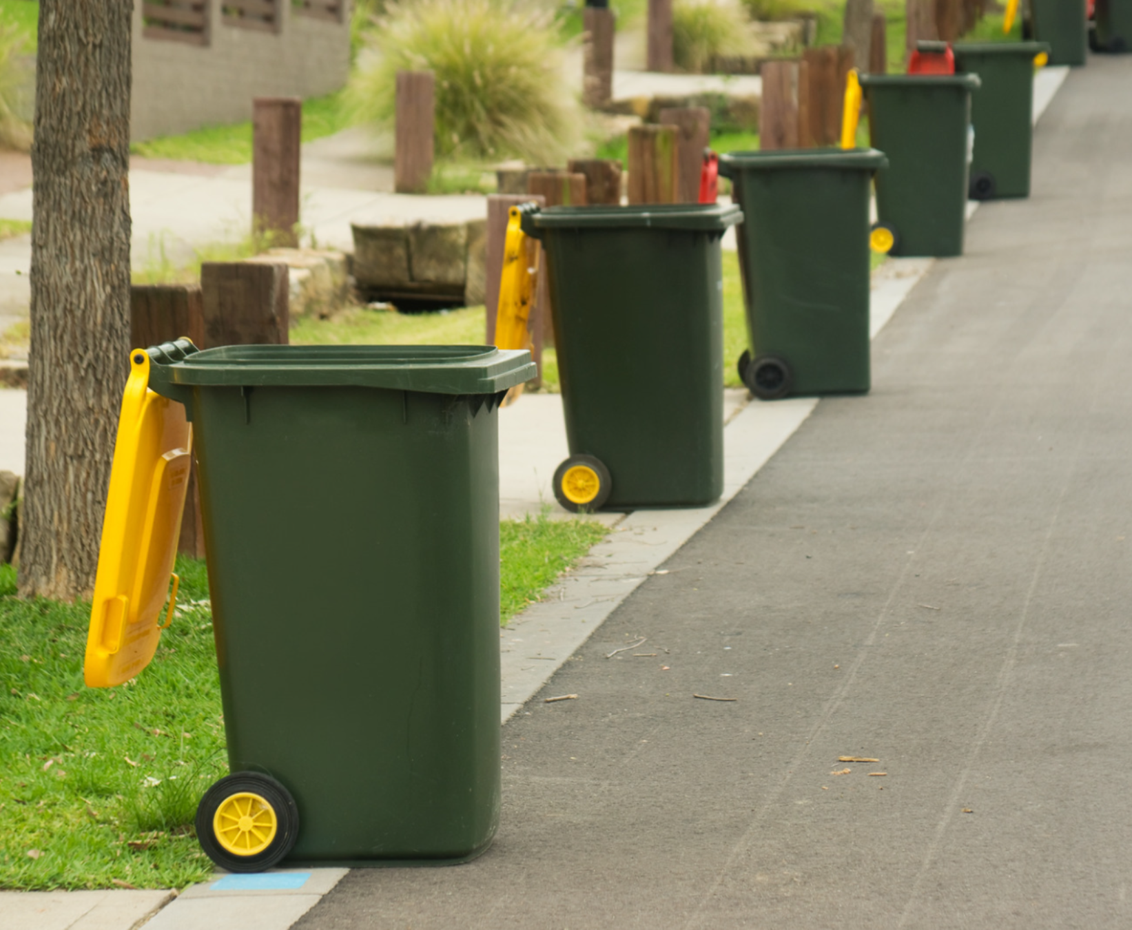 Row of Yellow Recycling bins on road