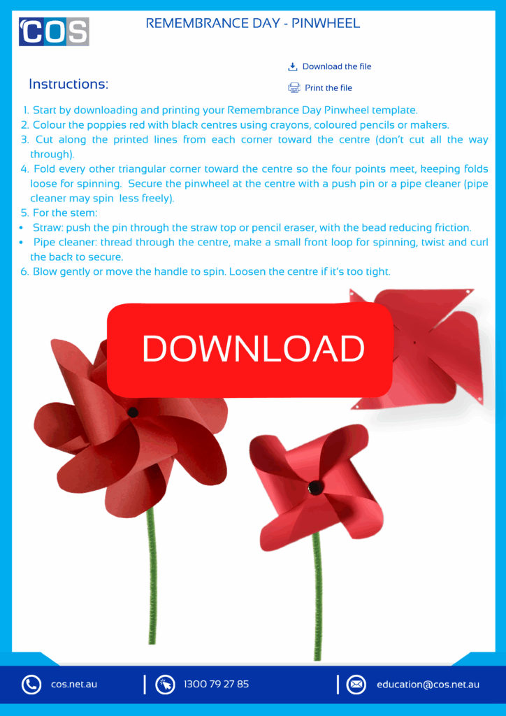 Remembrance Day worksheet for kids
