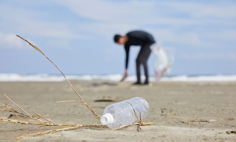 clean up australia day at the beach