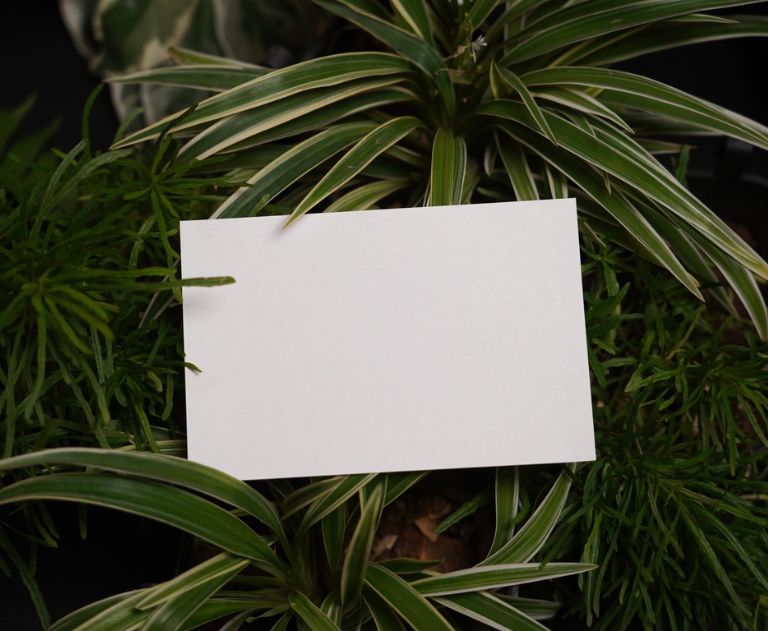 fsc-certified paper procurement
